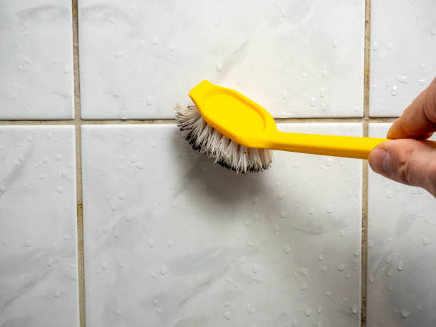 Best Mold Remediation  in Chester, NY